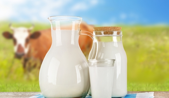 美国牛奶消费下降 中国稳步增长